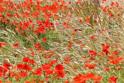 I colori della Toscana