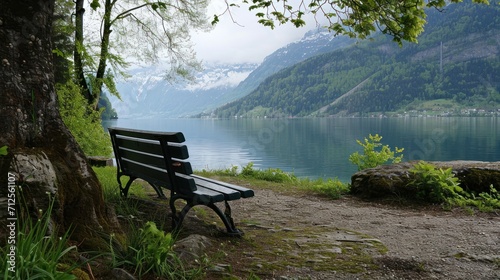  a park bench sitting next to a tree on a hillside near a body of water with mountains in the background.