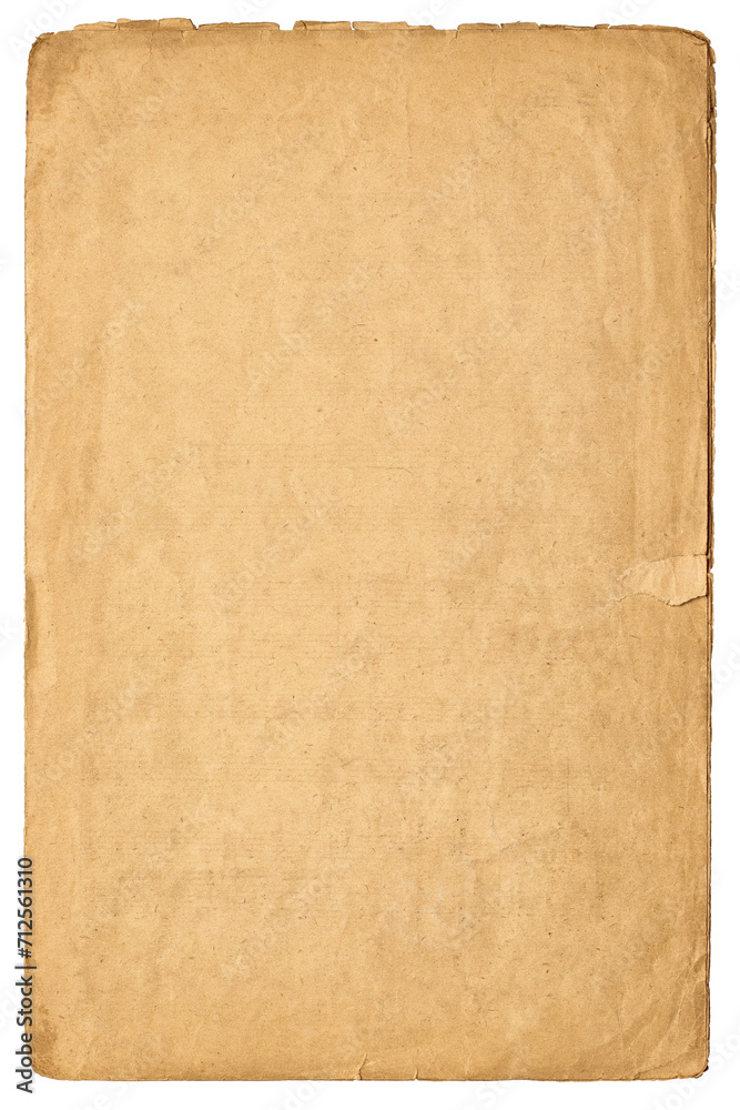 shabby paper texture isolated on white background. ancient papyrus page worn out over time