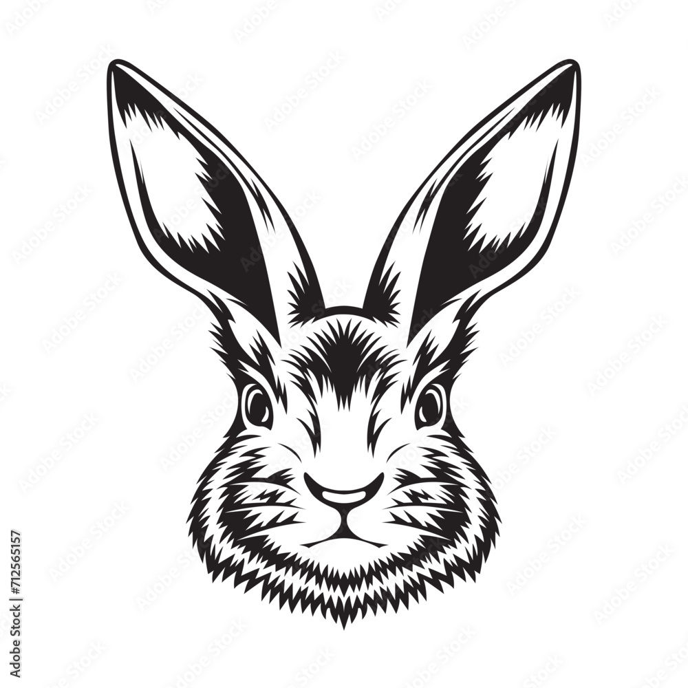 Rabbit, Rabbit Vector, Rabbit illustration, Rabbit Face, Rabbit Black and white, Cute Rabbit, Rabbit Jump, Funny Rabbit, Bunny, Animal, Cute