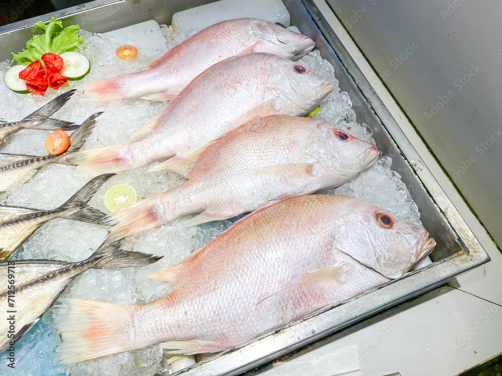 Fresh frozen red snapper with ice fish sold at a modern fish market. Fish caught by fishermen. Concept for whole healthy food, nutrition, omega-3, animal protein, seafood.