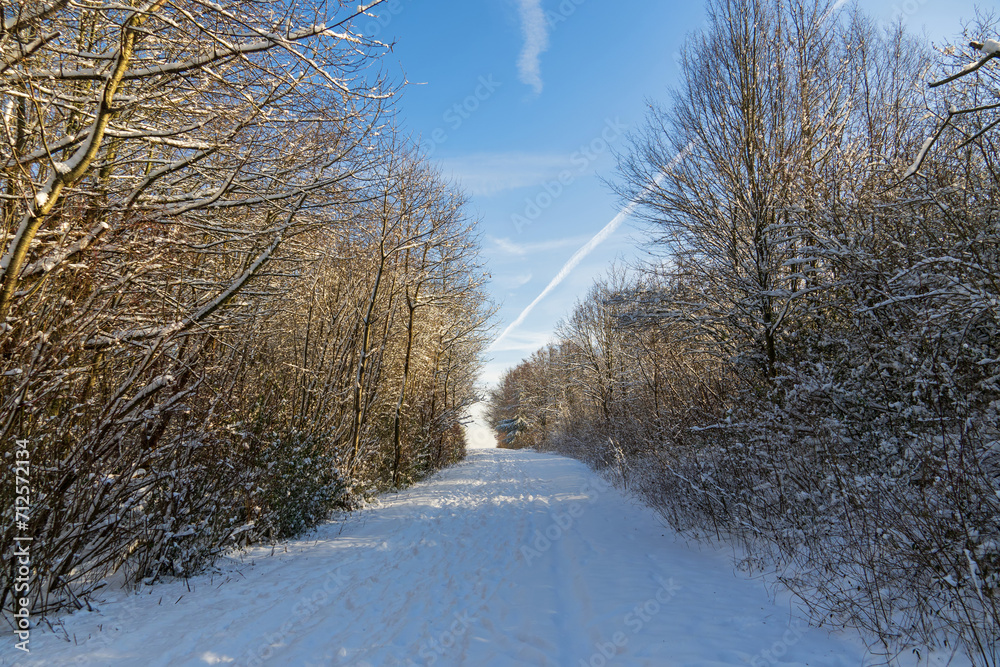 Obraz premium Verschneite Winterlandschaft