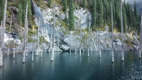 Nature park lake with old trees