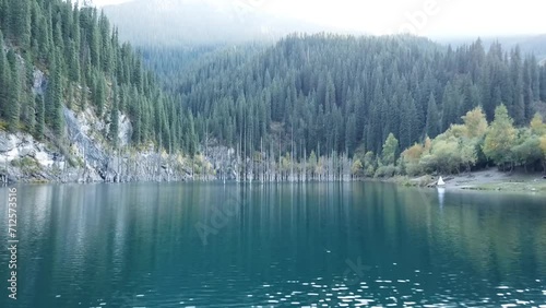 Nature park lake with old trees