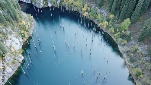Nature park lake with old trees