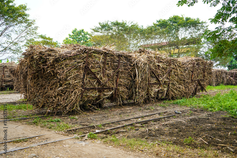 Sugarcane transport cart with full load of sugarcane harvest ready to be milled into sugar. Sugarcane transport cart with full load of sugarcane harvest ready to be milled into sugar.