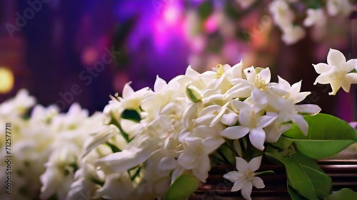 Beautiful white Jasmine flowers.
