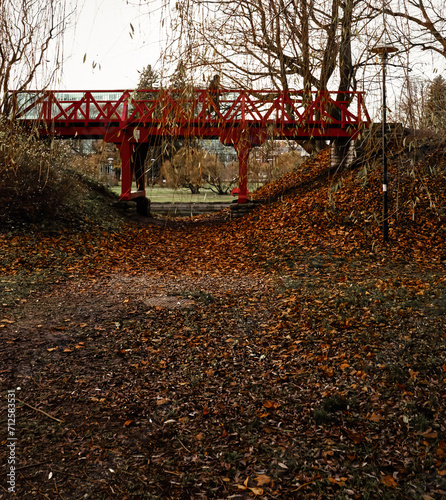 Toompark in Tallinn, Estonia. Red wooden bridge in park in autumn photo