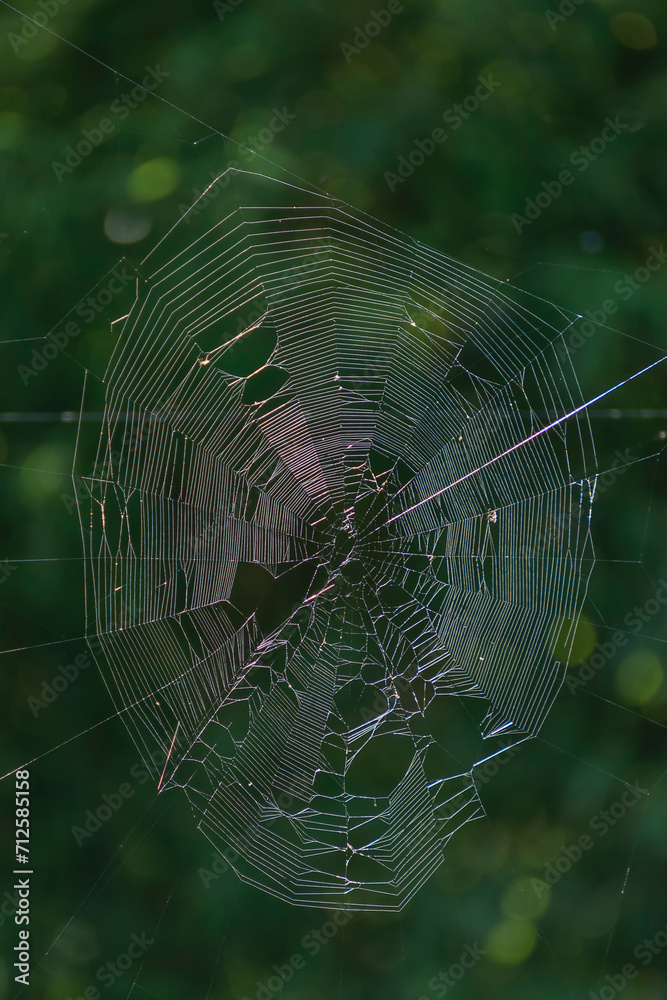 A large spider web suspended in the air against a green background with bokeh lights