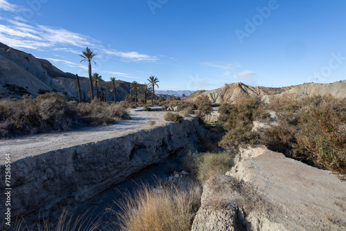 Lawrence of Arabia oasis, Tabernas Desert, (Desierto de Tabernas) location of various Western films. Almeria, Andalucia, Spain photo