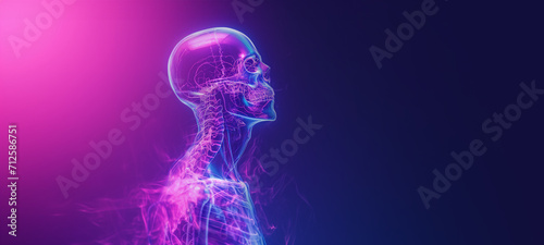 Close up view side profile shot of skeleton with anatomical x-ray details. Bright led neon lights, pink and blue color background with copy space
