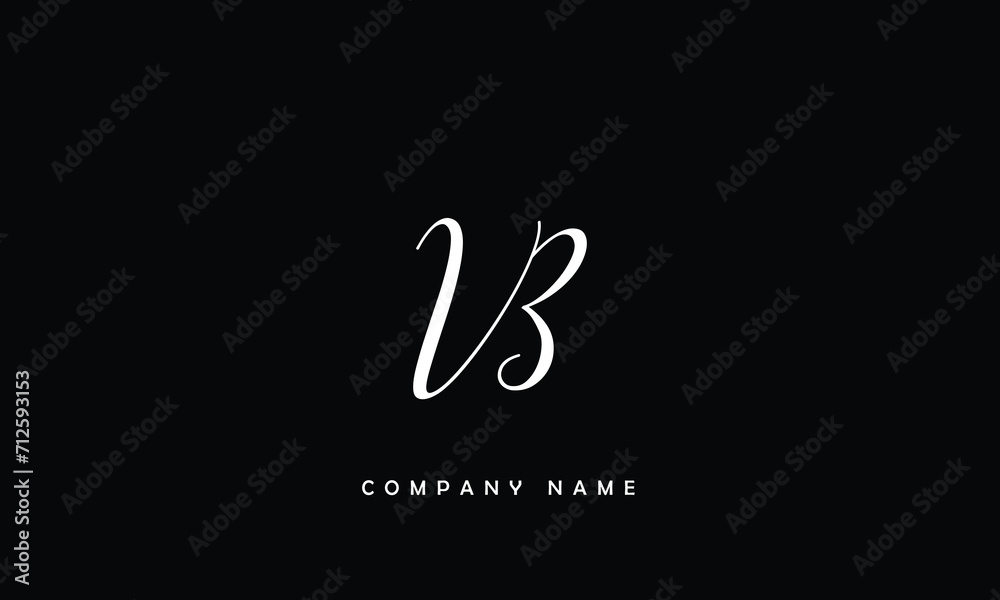 VB, BV, V, B Abstract Letters Logo Monogram VB, BV, V, B Abstract Letters Logo Monogram