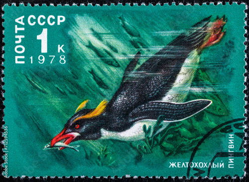 Soviet Union, circa 1978 : USSR post stamp from the Arctic Animals series.With an image of a yellow-crested penguin, circa 1978