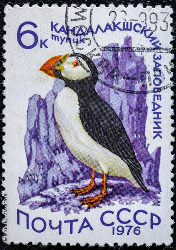 Soviet Union, circa 1976: USSR post stamp.Series Annimals from Kandalaksha Reserve.The bird Atlantic puffin.Circa 1976 photo