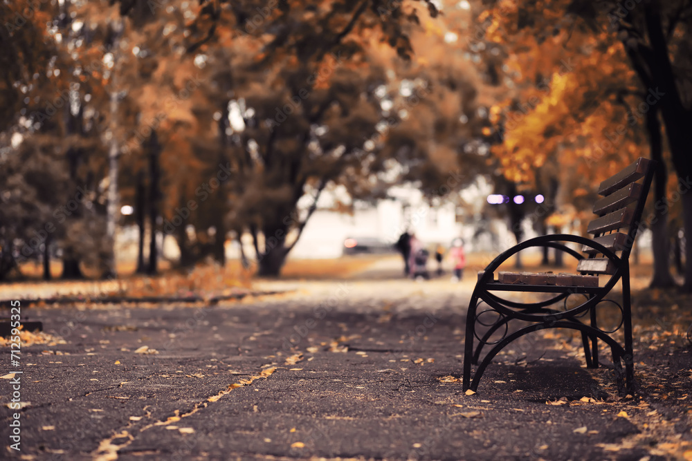 Autumn park bench, rainy texture background. Rain in autumn park, drops of water, wind.