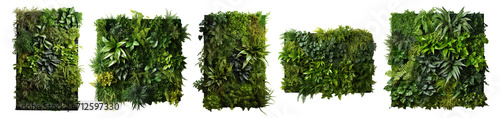 Set of green garden walls from tropical plants, cut out photo