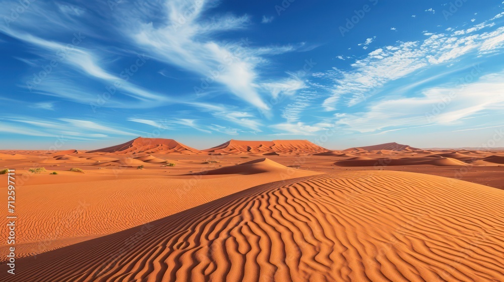 Naklejka premium The background shows a wide expanse of desert during the day