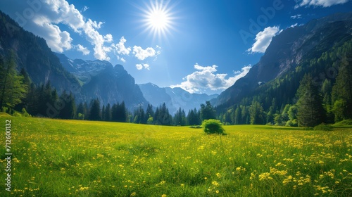 Scenic valley background with ample copy space for text  showcasing a beautiful landscape with mountains  a blue sky  and a vast expanse of grass. 