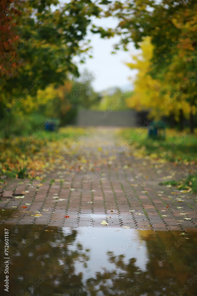 Beautiful autumn landscape with yellow trees and sun. Colorful foliage in the park. Falling leaves natural background Beautiful autumn landscape with yellow trees and sun. Colorful foliage in the park. Falling leaves natural background