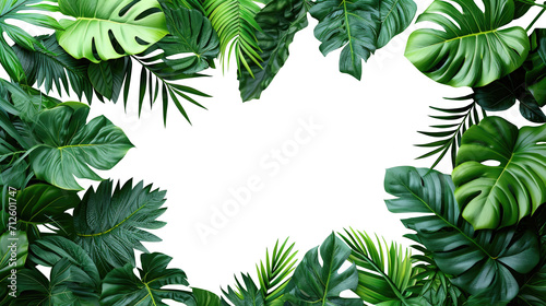 Tropical green leaves for decoration of art frame wallpaper,card on transparent background. photo