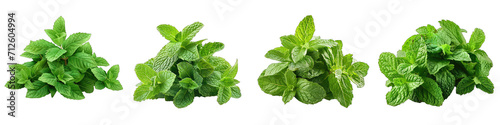 Spearmint  Herbs Pile Of Heap Of Piled Up Together Hyperrealistic Highly Detailed Isolated On Transparent Background Png File