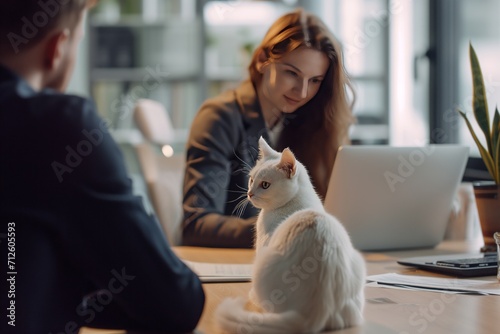 A pet cat in a business environment