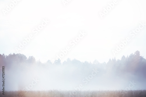 Fog in the field. Evening nature summer with white fog. #712611183