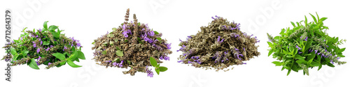 Hyssop  Herbs Pile Of Heap Of Piled Up Together Hyperrealistic Highly Detailed Isolated On Transparent Background Png File photo