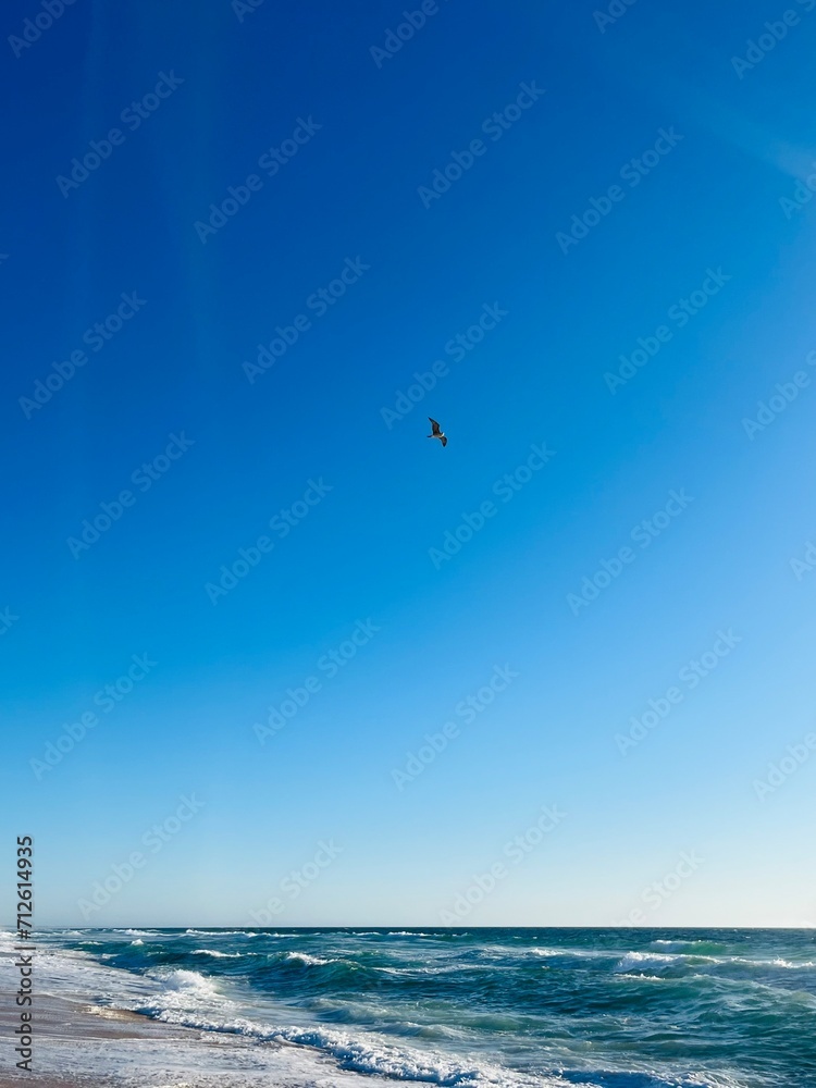 Sand beach, sea coastline, pure blue sky, natural seascape background, no people