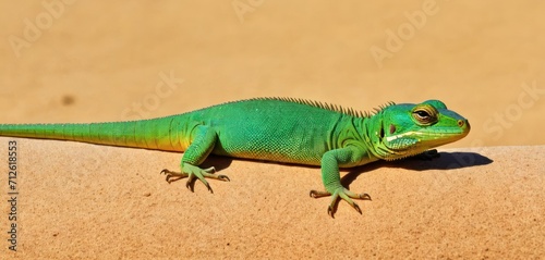  a large green lizard sitting on top of a brown piece of paper on top of a wooden table in front of a brown wall and tan wall behind it is a sand area.