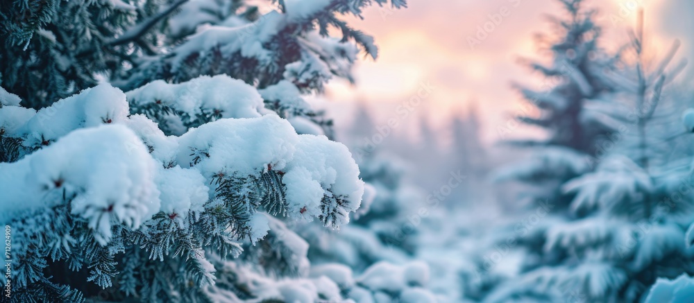 Snow-covered fir branches in front of a wintry landscape. High quality photo for wallpaper, travel blog, or article. - obrazy, fototapety, plakaty 