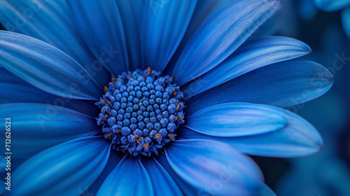 A lovely blue daisy, very detailed