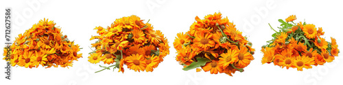 Calendula  Herbs Pile Of Heap Of Piled Up Together Hyperrealistic Highly Detailed Isolated On Transparent Background Png File