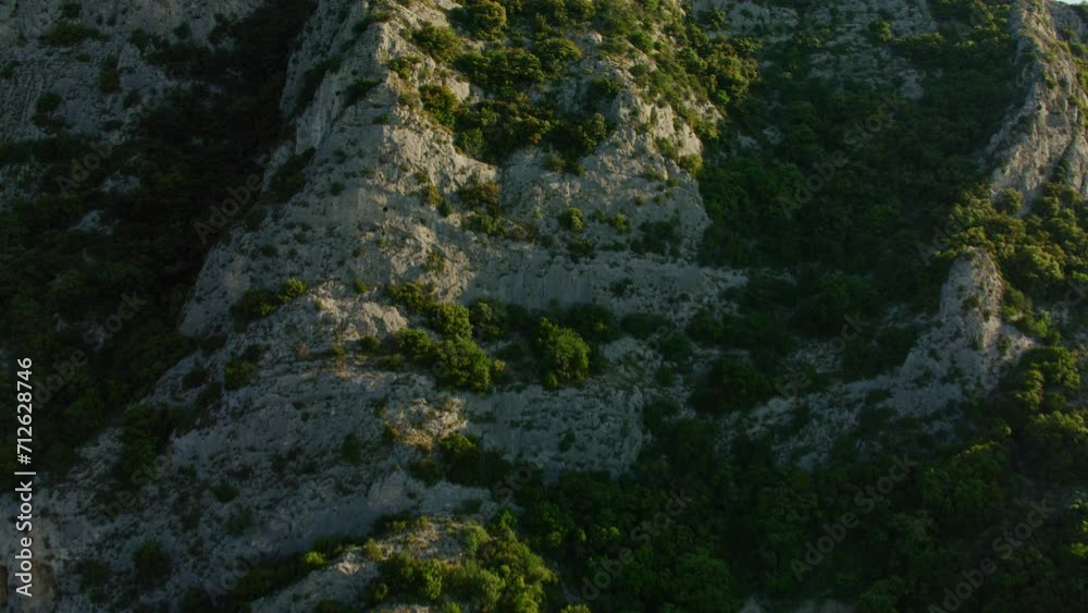 vue aérienne drone de la forêt des cèdres dans le luberon vue aérienne drone de la forêt des cèdres dans le luberon