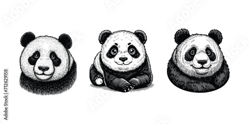 set of panda  illustration. hand drawn panda black and white vector illustration. isolated white background