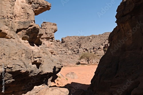 Bouhadian rock formations in Tadrart Rouge  Tassili N Ajjer National Park. Sahara  Algeria  Africa.