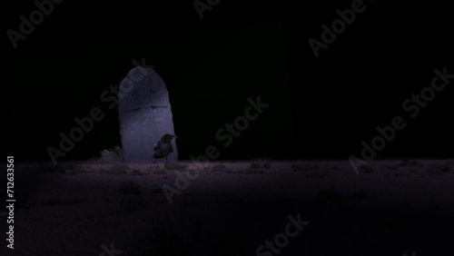 Raven on a grave