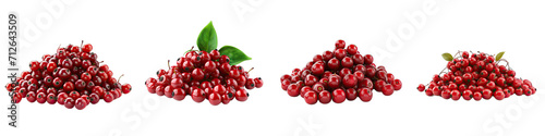 Winterberry  Flower Pile Of Heap Of Piled Up Together Hyperrealistic Highly Detailed Isolated On Transparent Background Png File photo