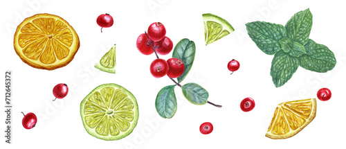 Fototapeta Naklejka Na Ścianę i Meble -  Set of forest berries, citrus and mint branch. Cowberries, lime slices. Watercolor botanical illustration. For the design of invitation, card, greetings, package design