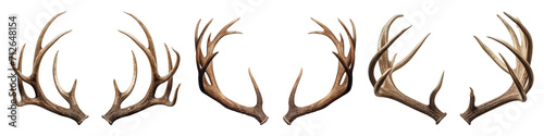 Set of deer antlers isolated on a white or transparent background close-up. Overlay of deer antlers for insertion. A design element to be inserted into a design or project.