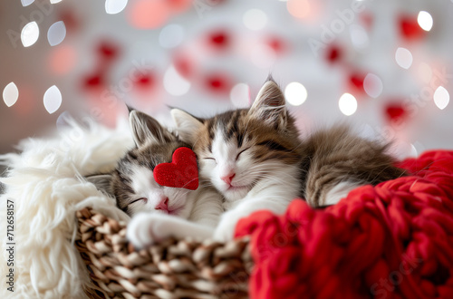 Two adorable kittens cuddle in a basket with a red heart, embodying Valentine's Day warmth and love
