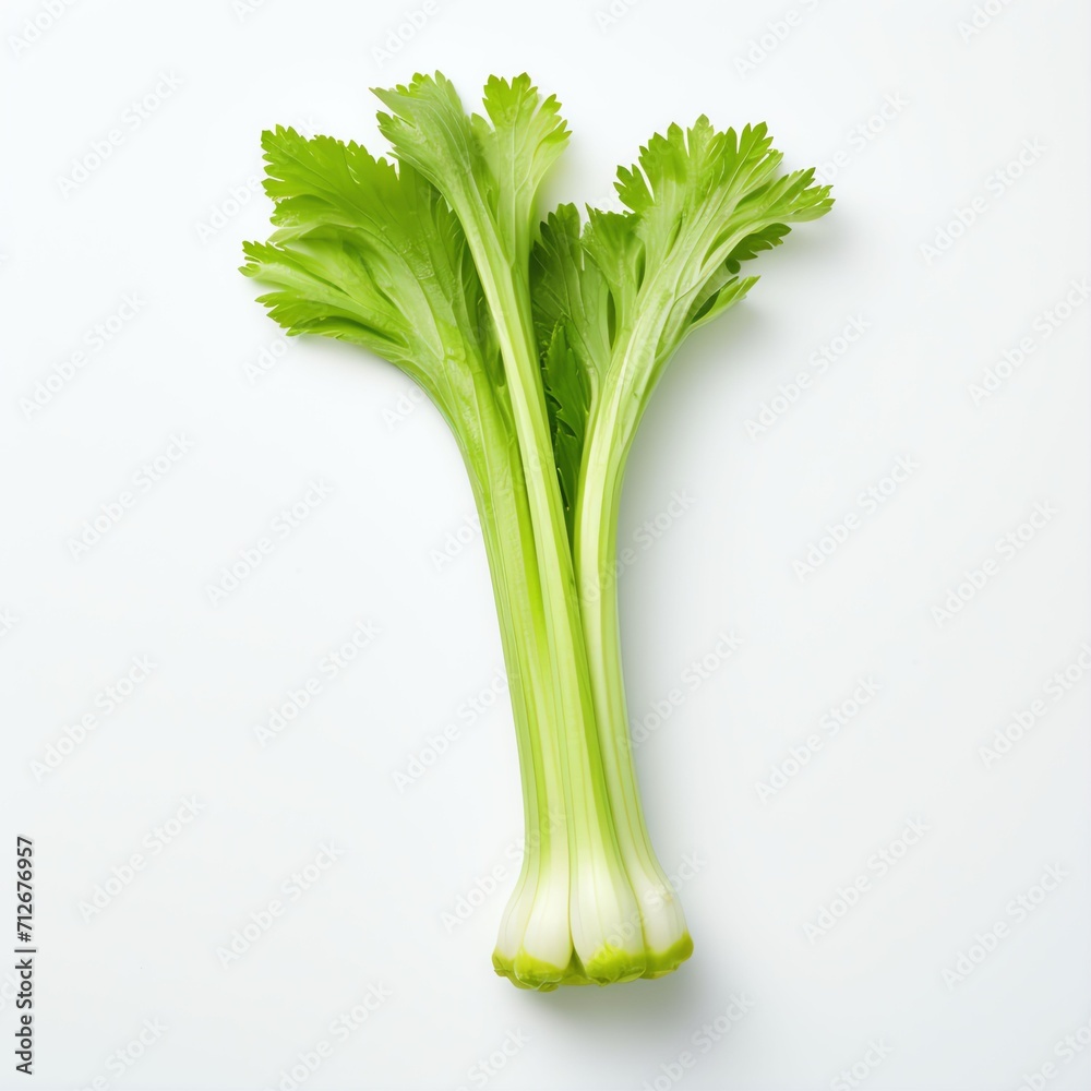 Photograph of celery, top down view, wite background Photograph of celery, top down view, wite background
