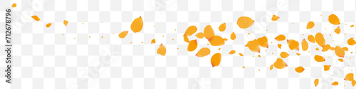 Yellow Peach Flying Vector Transparent Panoramic