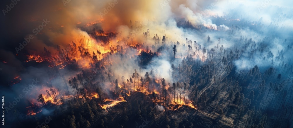 Aerial wildfire in California is burning trees and dry grass in the forest.