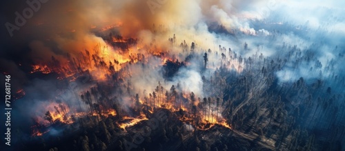 Aerial wildfire in California is burning trees and dry grass in the forest.