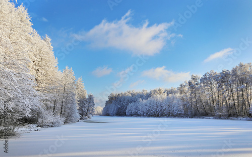 Winter landscape of a forest and a frozen lake against a blue sky. © Jolanta