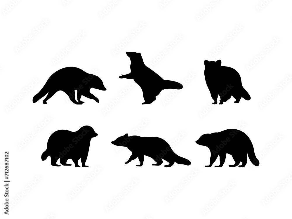 Set of Raccoon Silhouette in various poses isolated on white background