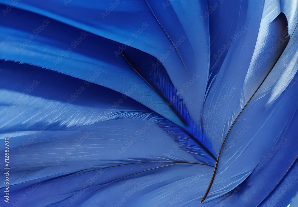 Fototapeta premium blue feather pigeon macro photo texture or back