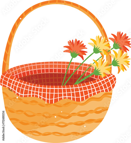 Wicker picnic basket with orange flowers. Empty open picnic basket and colorful gerbera daisies vector illustration.
