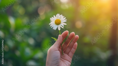 A hand holding a chamomile flower against a blurred natural background, depicting the human connection with nature and the healing properties of chamomile.     photo